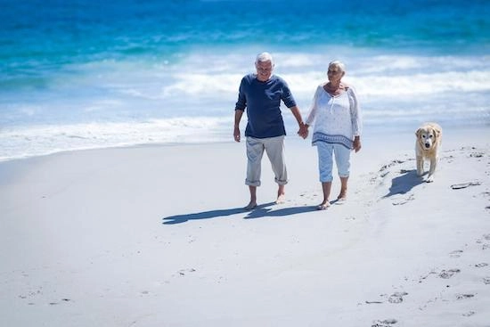 An elderly couple in excellent health enjoying a walk on the beach with their dog.